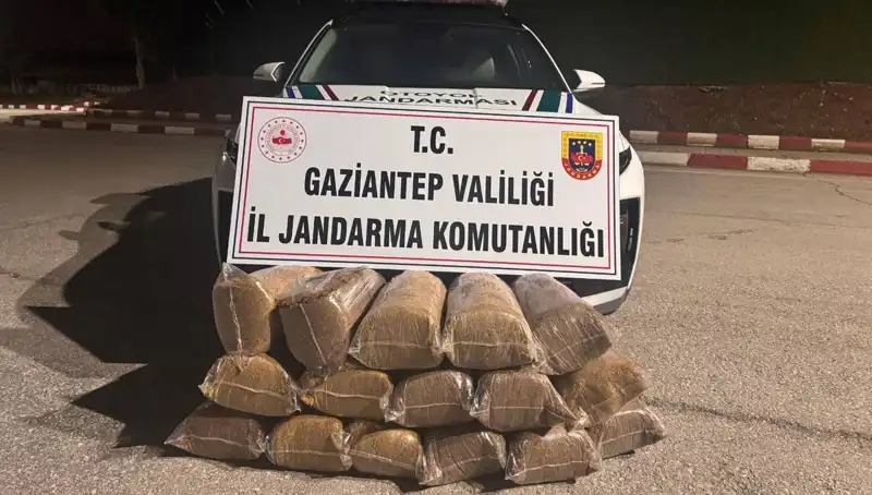 Gaziantep'te Büyütücü Kaçakçılık Operasyonunda 3 Milyon Lira Değerinde Malzeme Ele Geçirildi