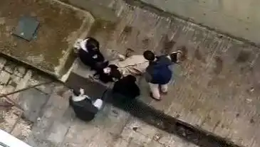 Kampüste Köpek Paniği: Öğrenci 4 Metreden Betona Düşerek Yaşadığı Korkuyu Anlattı