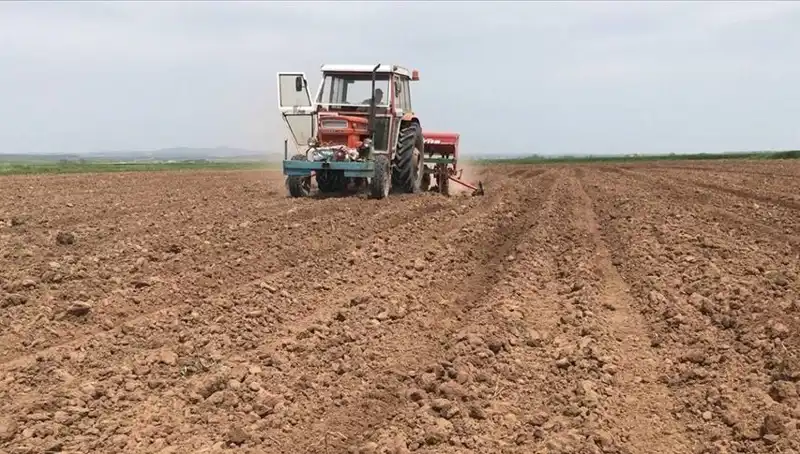Son 35 Yılın En Kurak Mart'ı: Türkiye'de Yağış Miktarı Yüzde 59 Düştü