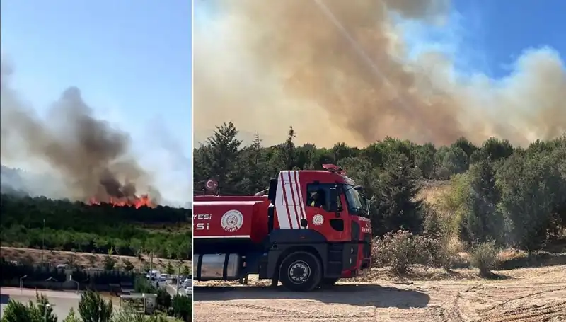Gebze'deki Orman Yangını: Doğa ve Hayat Tehlikede!