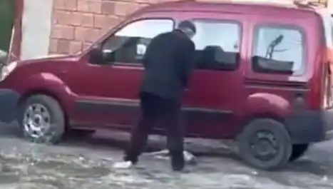 Sokak Ortasında Köpeğe Uygulanan Şiddet: Toplumun Tepkisi Ne Olacak?