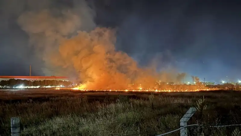 İzmir'de Gece Yarısı Yangın Paniği: Flaş Gelişmeler