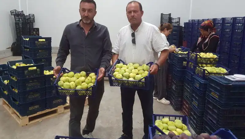 Mersinli Çiftçinin Ürünleri: Tanesi 20 TL'den İhraç Ediliyor!