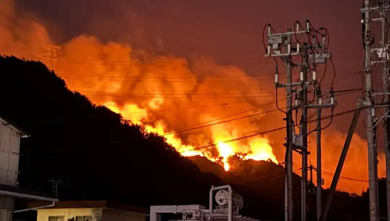 Japonya'da Orman Yangınları Sebebiyle Acil Durum İlan Edildi