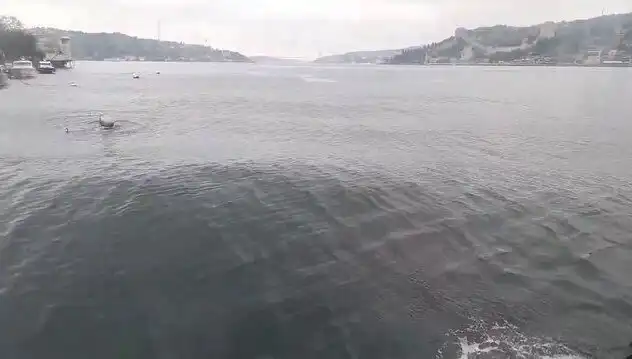 İstanbul Boğazı'nda İhtişamlı Dalgalar: Doğanın Gücüyle Selam Durun!