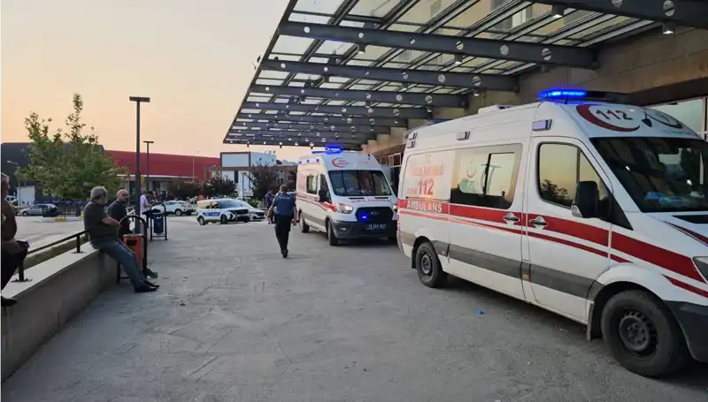 Ailelerin Kavgası Kanlı Bitti: Muhtar Hayatını Kaybetti, Üç Yaralı