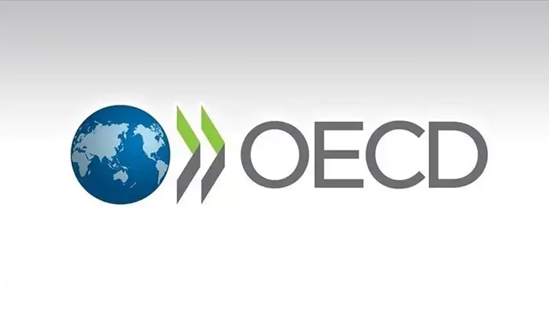 OECD’nin Türkiye Büyüme Tahmini: Ekonomik Beklentiler ve Stratejiler