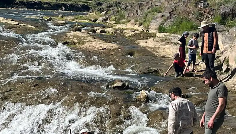 İnci Kefali Göçü: Binlerce Kilometreyi Aşan Doğanın Harikası