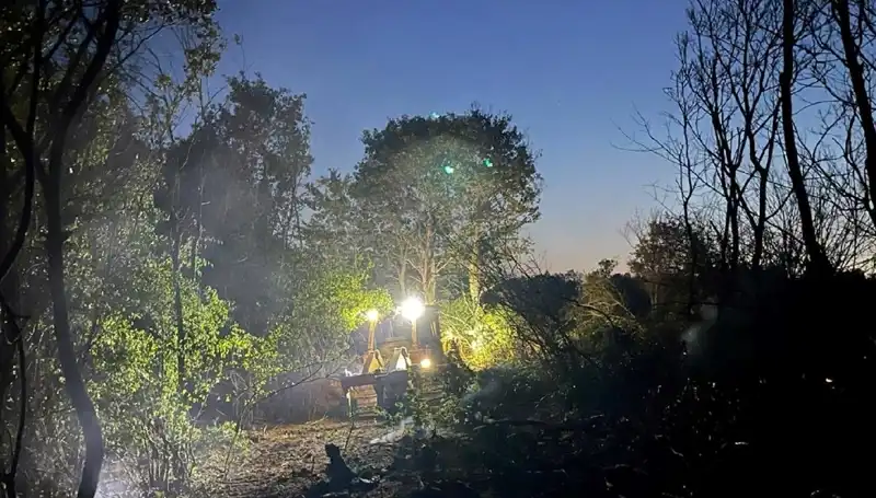 Edirne'deki Orman Yangını Kontrol Altına Alındı: İlk Bilgiler ve Son Durum