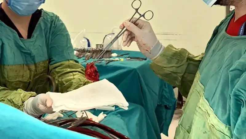 Kalp Kapağında Çürümeye Rağmen Hayata Dönüş: 7 Saatlik Mucizevi Ameliyat