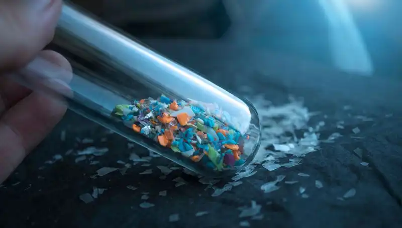 Mikroplastikler Beynimizde: Sağlığımıza Etkileri ve Gelecekteki Riskler
