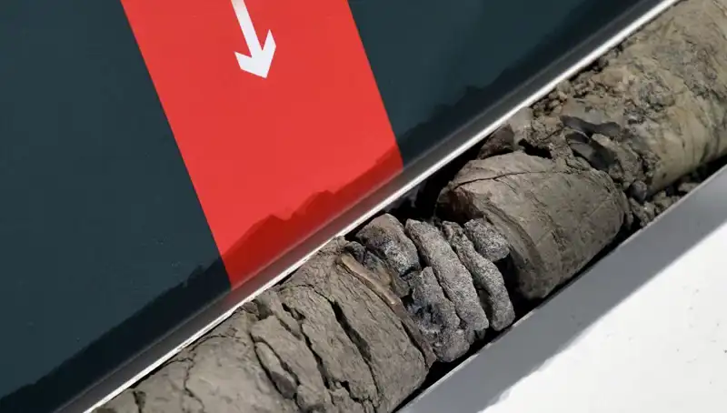 Müze Otoparkının Altında Bulunan Dinozor Fosili, Tarihi Değiştirebilir!