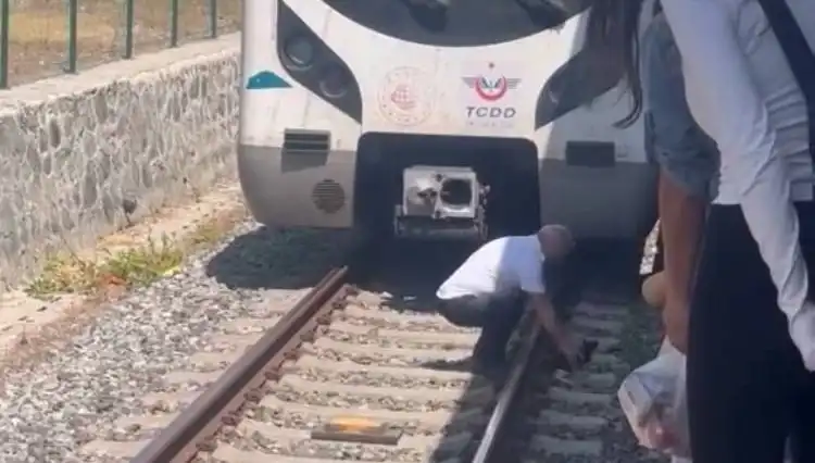 Raylardaki Kediyi Gören Makinist Marmaray'ı Durdurdu, Alkış Aldı
