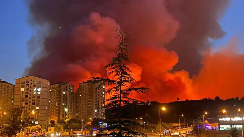 Bursa'da Yangınlar Şehri Alev Alev Sardı: Son Durum Ne?