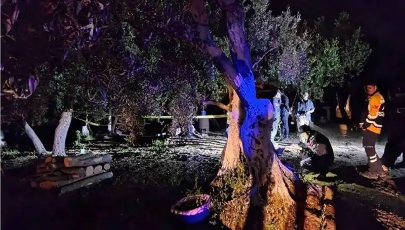 Çiftlikteki Baltalı Vahşet Olayında Şok Edici Tutuklama Gerçekleşti