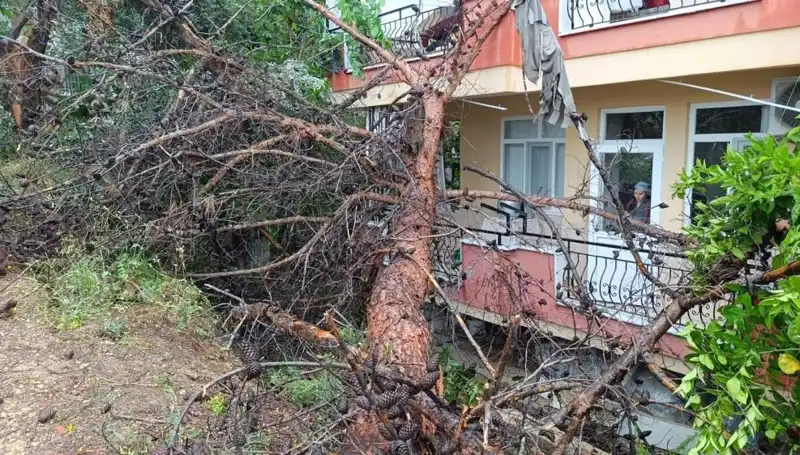Yağmurun Kurbanı: Eski Bina Zemini Taşıyamadı!