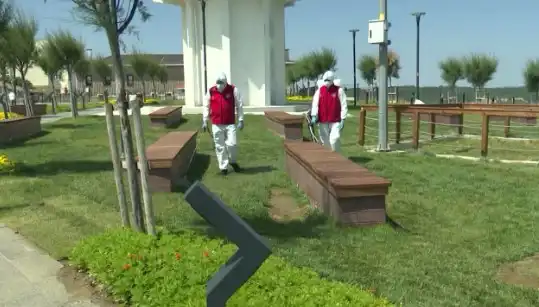 Kene Uyarısı: Halka Açık Yerlerde İlaçlama Gereksinimi Artıyor