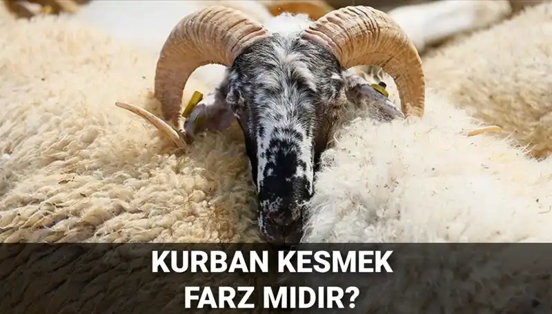 Kurban Kesmek Farz mı? Diyanet’in Hükmü ve Şartları Neler?