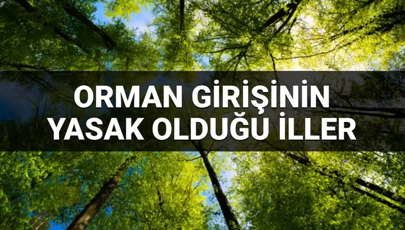 Hangi İllerde Ormana Girmek Yasak? 2025 Yasakları Açıkladı!