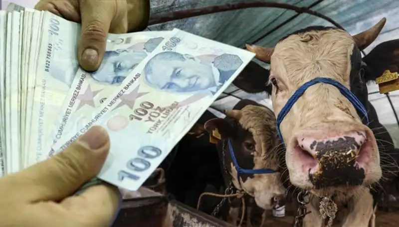 Kurban Bayramı Öncesi Emekli ve Memur Maaşları Yatıyor mu?