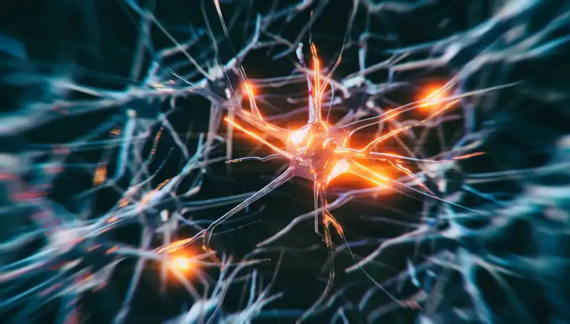 Alzheimer Vakalarındaki Artışın Gözlemlenen Nedenleri ve Çözüm Önerileri