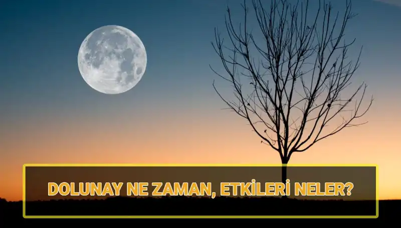 Terazi Dolunayı: Zihinsel Dengenizi Bulmak İçin Sizi Bekliyor